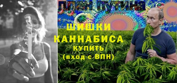 соль ск Алзамай