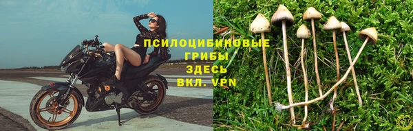 jwh Алексеевка