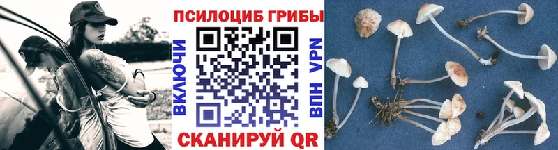 Псилоцибиновые грибы Psilocybe  Белоозёрский 